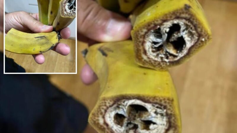 Mom horrified by foul discovery inside normal-looking banana