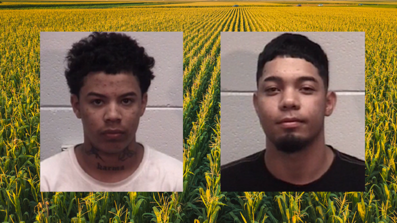 Immigrants allegedly smuggling fentanyl lead police on dangerous cornfield chase