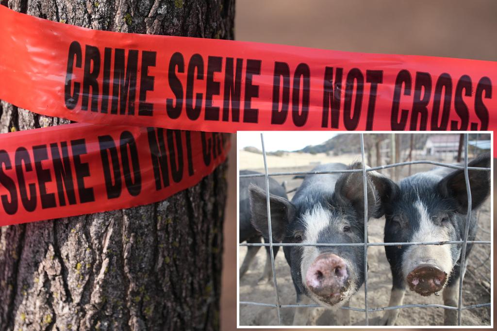 Alabama man found dead under car after hog attack