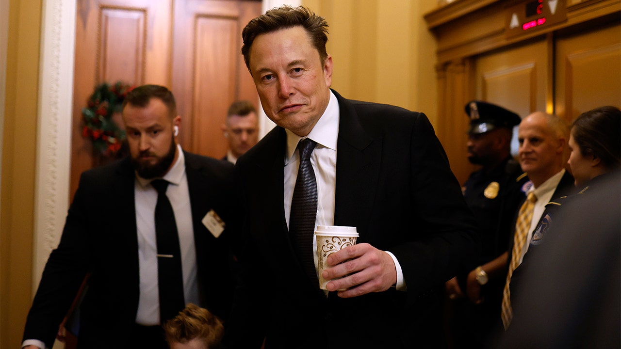 Musk rips ‘fraudulent’ Treasury payments as reports mount DOGE has access to federal payment system