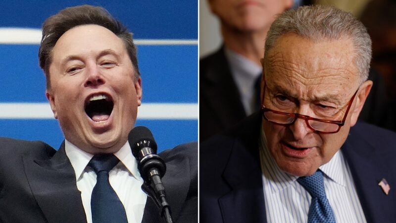 Elon Musk dunks on Sen Chuck Schumer, declaring ‘Hysterical reactions’ demonstrate DOGE’s importance