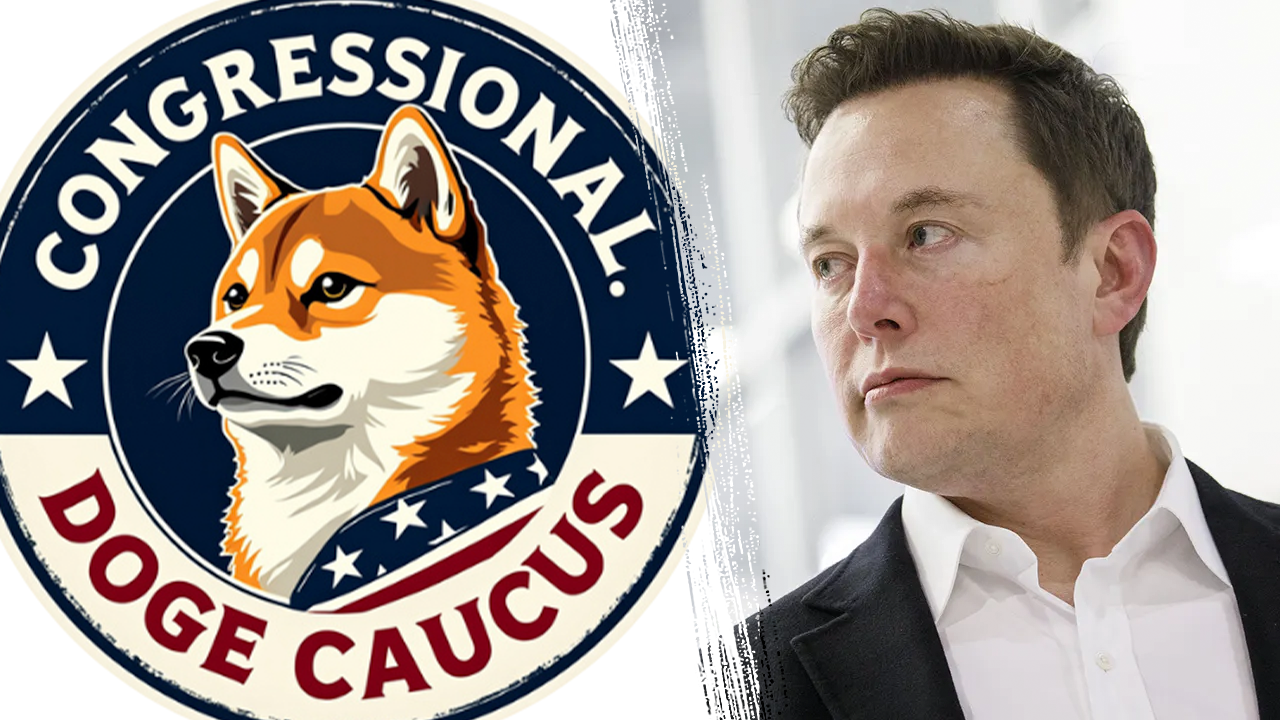 DOGE Caucus nabs over 100 House lawmakers despite Dem attacks on Musk