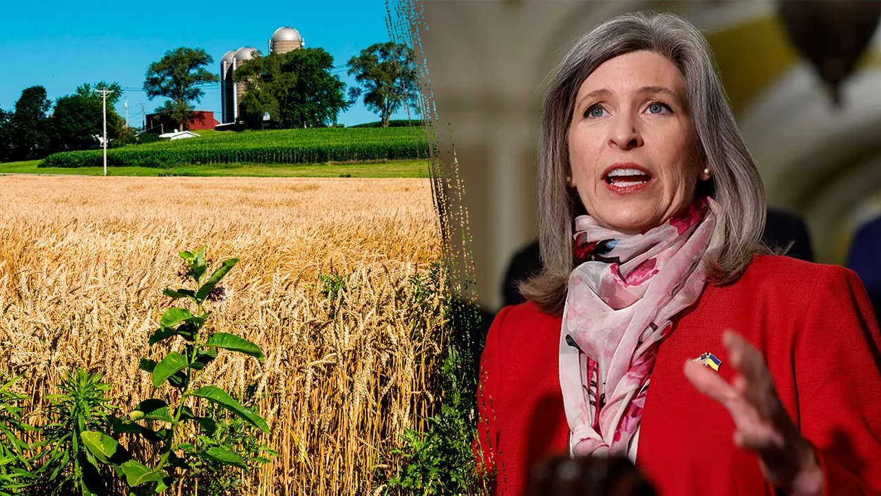 Heartland lawmakers seek to fix ‘fundamental’ roadblock for farm kids seeking student aid