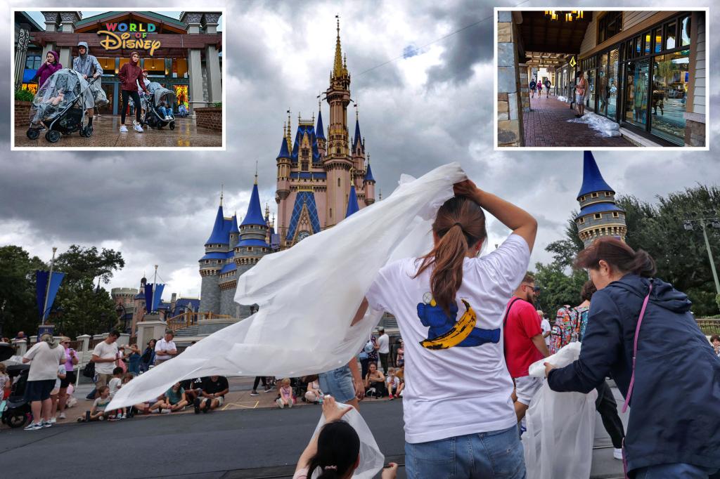 Hurricanes lead to $120 million cost for Disney theme park