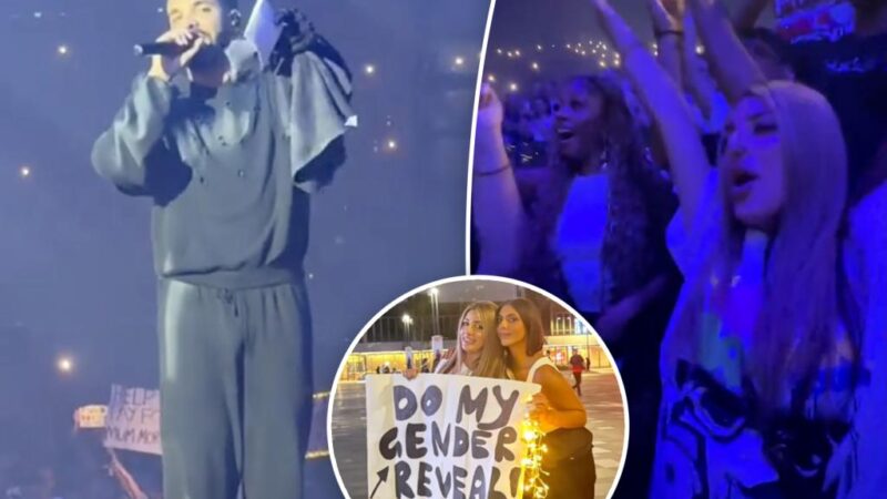 Mom-to-be gets Drake to do her gender reveal during show