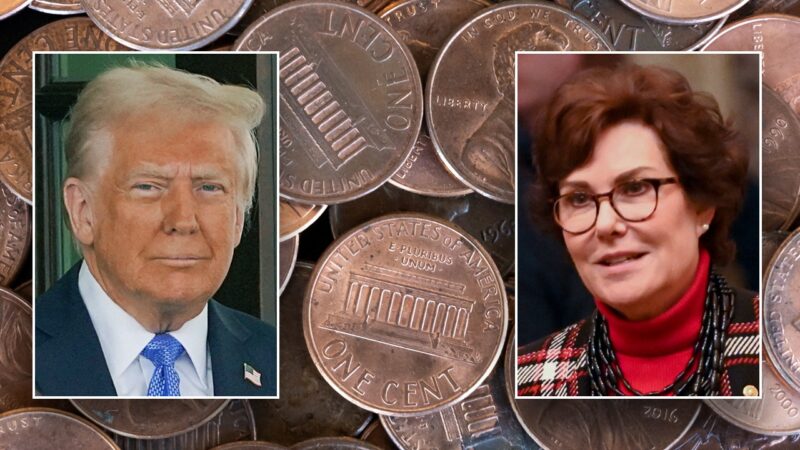 Trump gets Democrat backing on penny plan: ‘Common sense move’