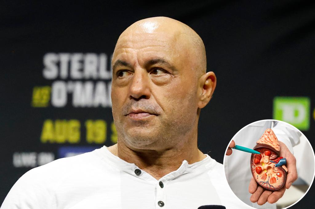 Popular diet followed by Joe Rogan linked to kidney stones