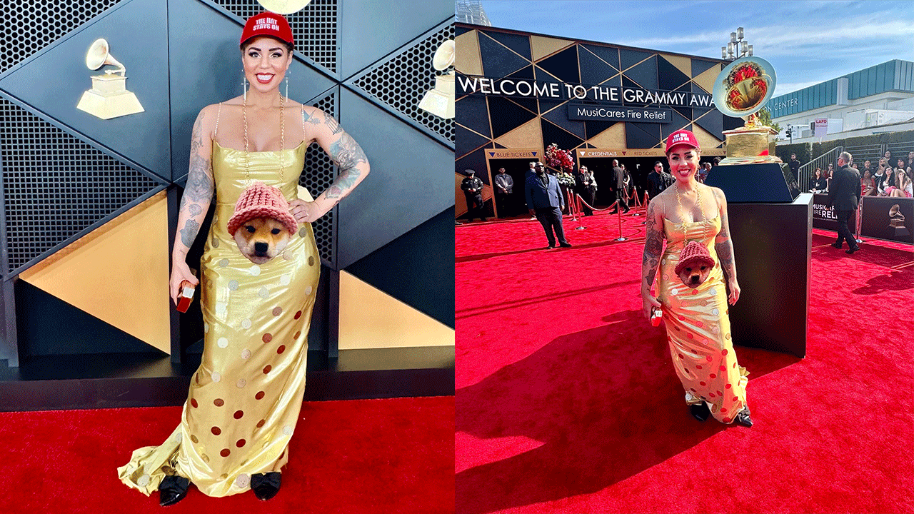 Joy Villa wears DOGE coin dress to 67th Grammy Awards