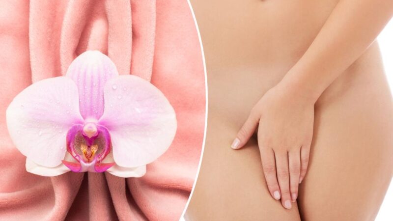 What is ‘labia puffing’? The latest NSFW cosmetic filler trend