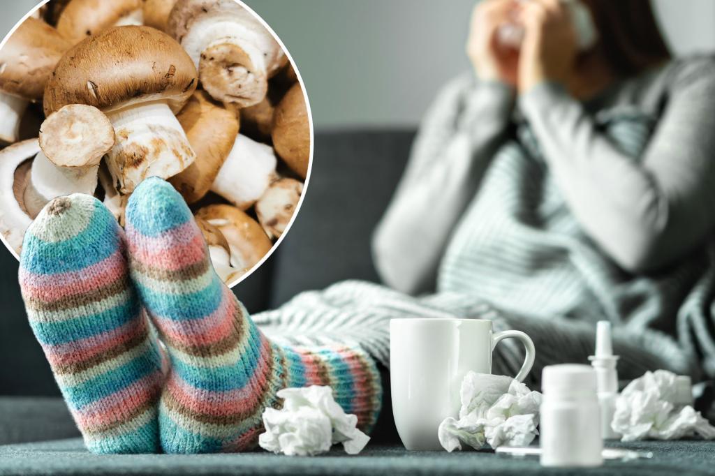 Mushrooms could make the flu less awful — here’s what to know