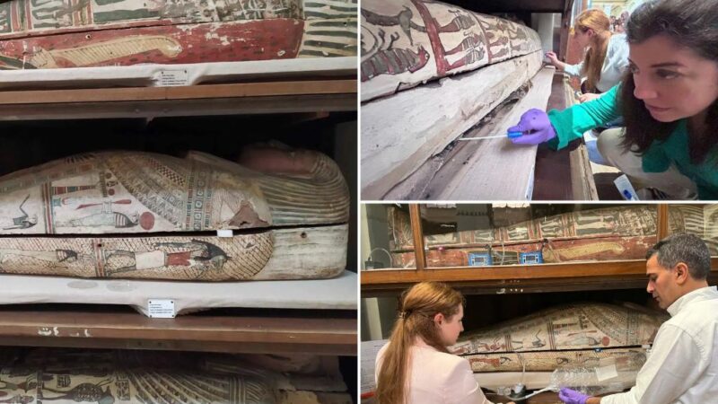 Researchers took a whiff of Egyptian mummies for science — they ‘were surprised by the pleasantness’