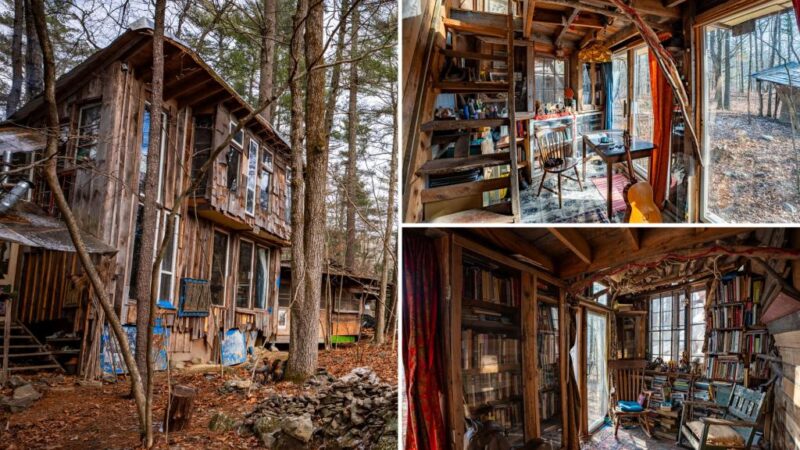 Upstate artist selling his off-grid village under the trees