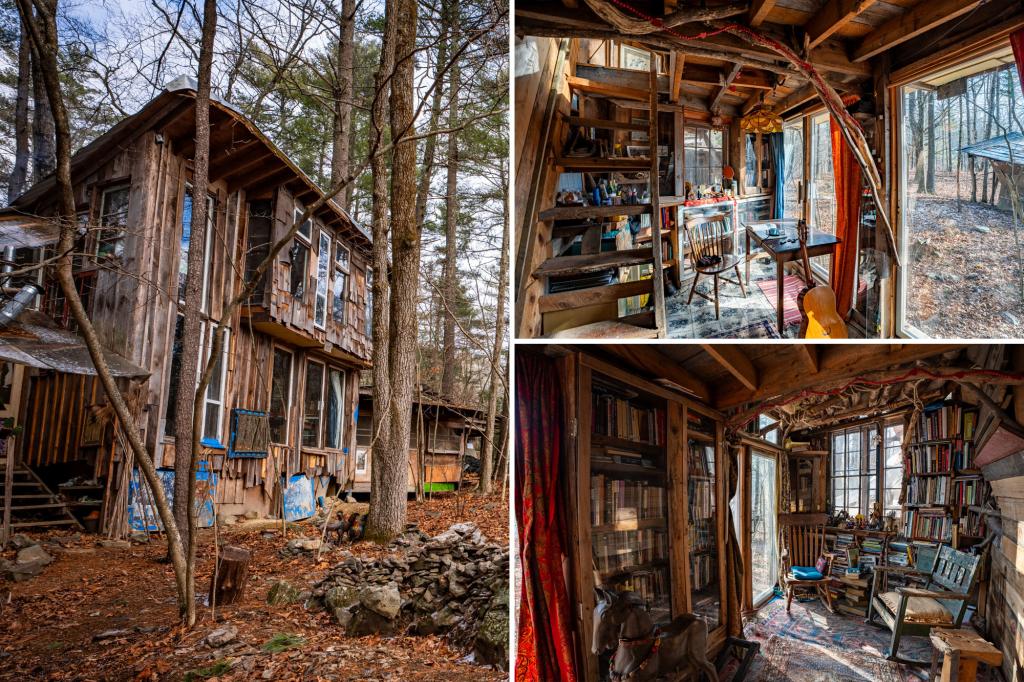 Upstate artist selling his off-grid village under the trees