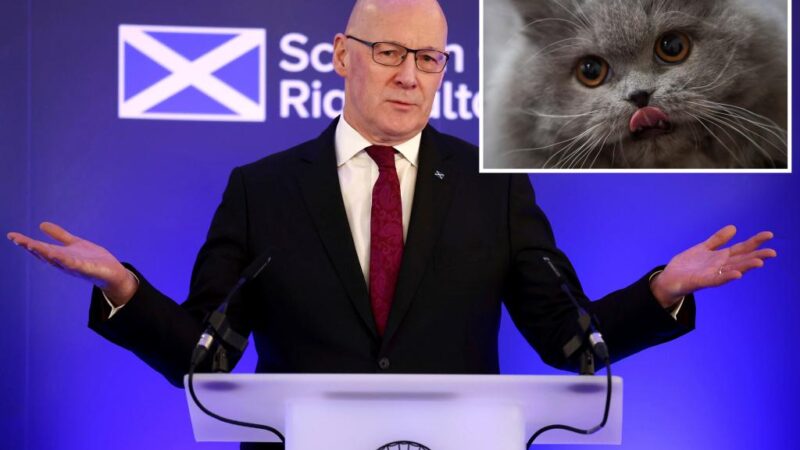 Scotland denies rumored ban on cats