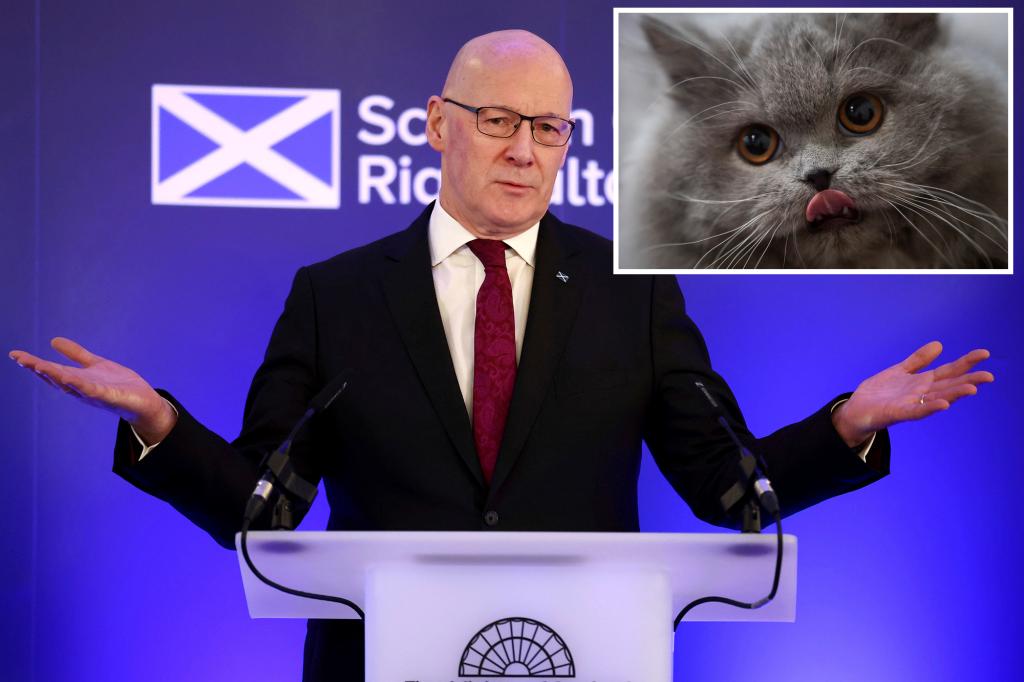 Scotland denies rumored ban on cats