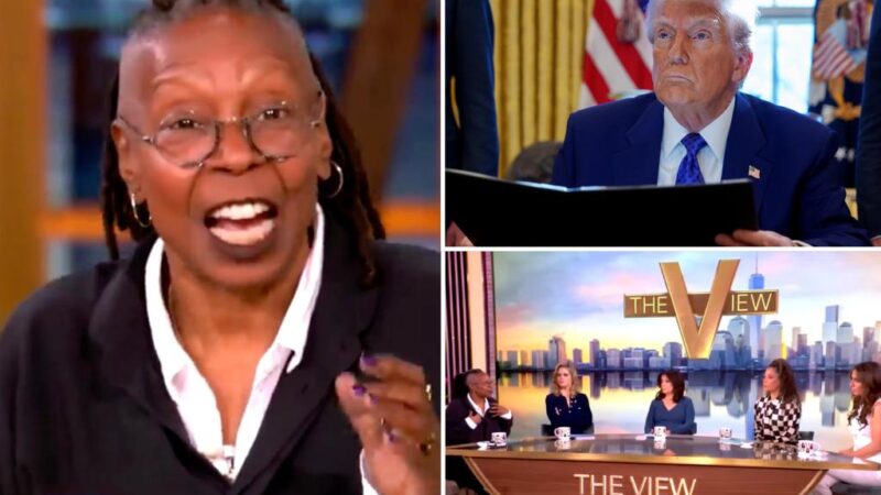 Whoopi Goldberg clashes with ‘The View’ co-host on talking to Trump voters