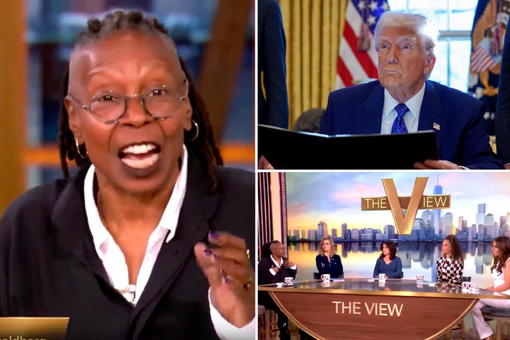 Whoopi Goldberg clashes with ‘The View’ co-host on talking to Trump voters