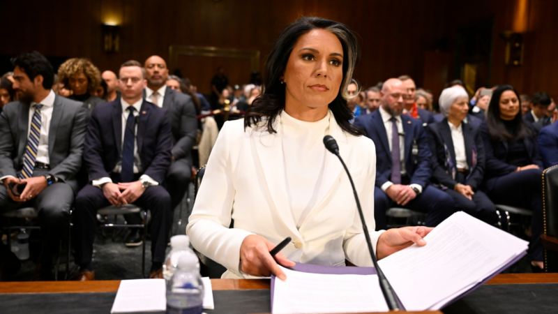 Trump DNI pick Tulsi Gabbard clears last hurdle, heads for final confirmation vote